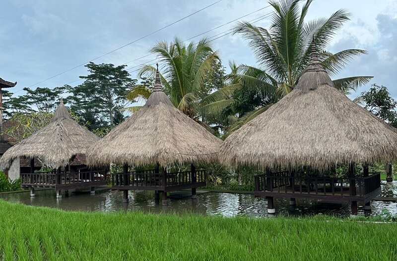 Accommodation for a yoga retreat in Bali