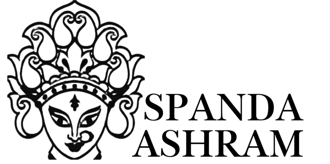 Spanda Academy logo